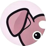 Ear pointed