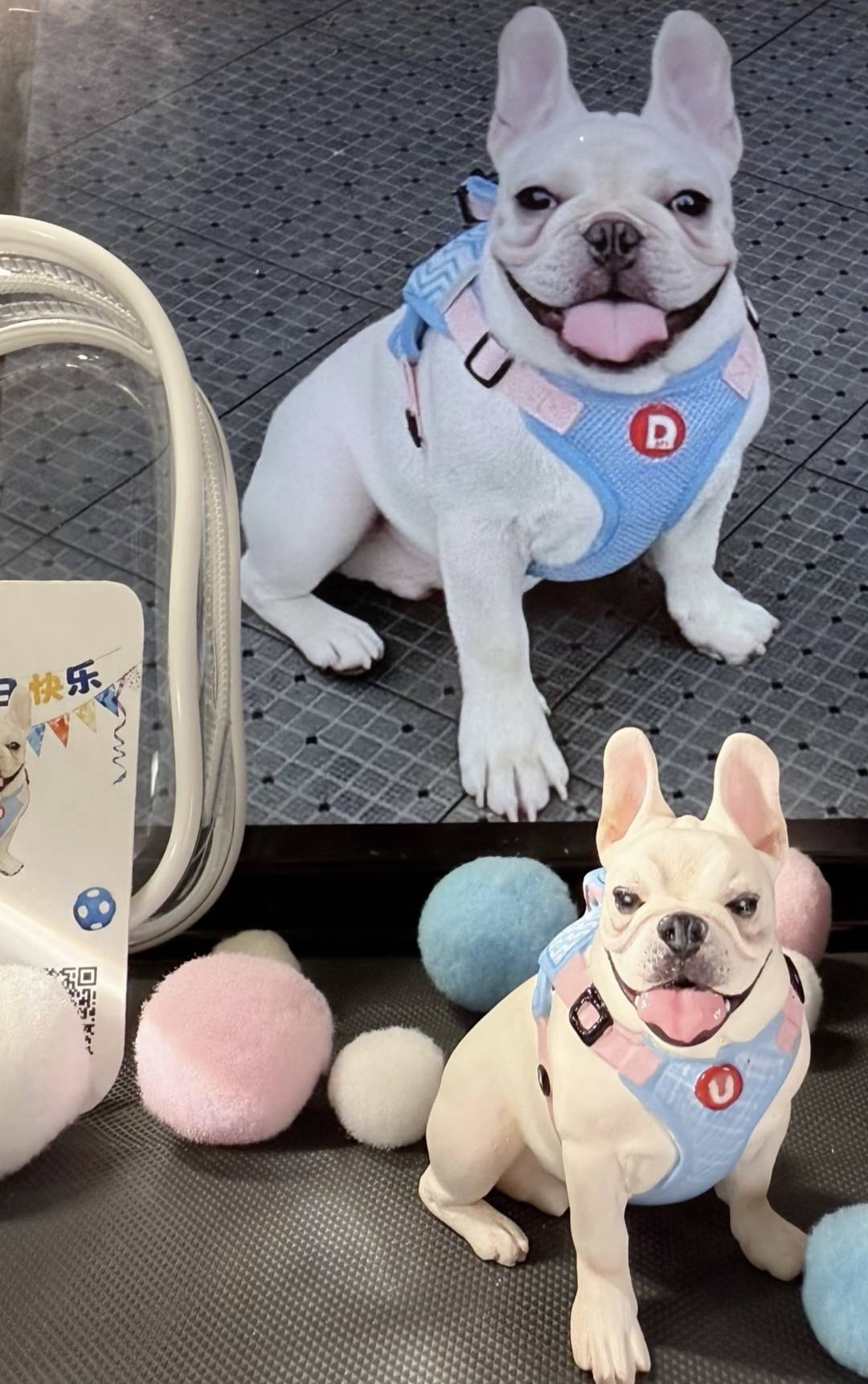 Custom Plush