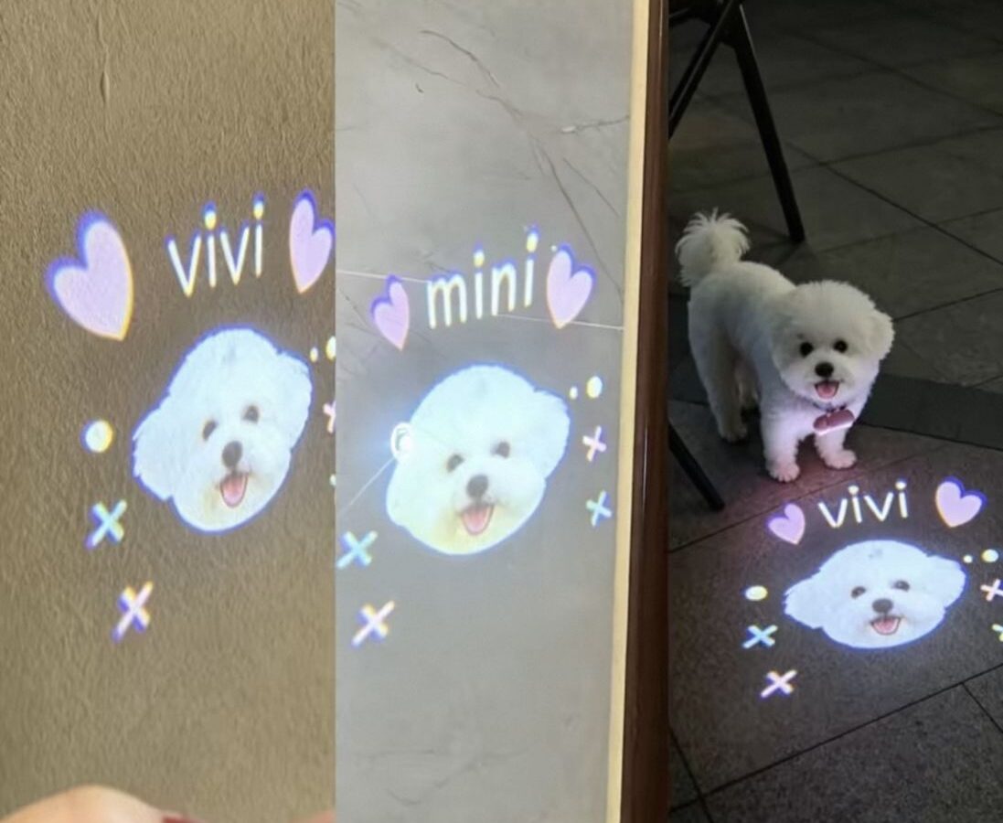 Custom Pet Anti-Lost Projection Light